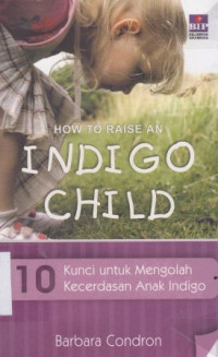 10 Kunci untuk mengolah kecerdasan anak Indigo